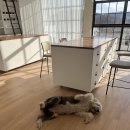 더 리얼 짐 이미지