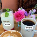 아그네포
