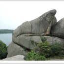 영랑호 범바위 이미지