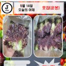 경남식자재유통(주) 이미지