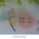 도리1리 이미지