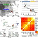 고대 DNA 동남아 남방민족 동북 북방민족 사람들 뿌리를 찾아 중화민족과 관련 문화를 탐구합니다. 이미지
