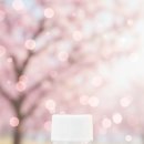 더엑스 | 강남 하드렌즈 맞춤 전문: 두꺼운 원시 안경 대신 선택한 프리미엄 더엑스 렌즈 후기