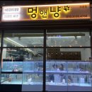 강아지분양 고양이분양 멍앤냥 수원점 네이버블로그