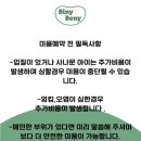 비니베니(Biny Beny) 이미지