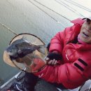 각평낚시터 이미지