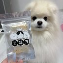 강아지 수제간식 전문점 프리미엄 펫푸드 견제과 솔직 후기
