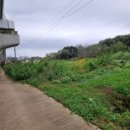 접지농장 이미지