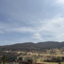 필드 골프클럽 | 벚꽃 흩날리는 필드 : 골프클럽Q 2번째 라운드 솔직후기