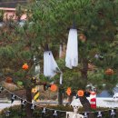 비룡농원 이미지