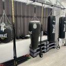 펀치레이디 & 필라테스 이미지