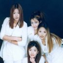 핑클 이미지