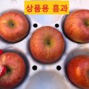 정 농원 이미지