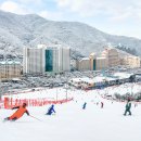 소노벨 타워 B 비발디파크 | 2026 비발디파크 소노벨 B 스탠다드 상세 후기 &amp; 쿠폰 혜택 &amp; 패키지