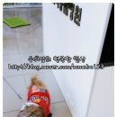 삼척동물병원 이미지