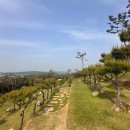 화성장례식장입구 | 수원수목장 인근 화성으로 준비하기