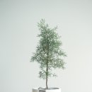 블루아이스식당 이미지