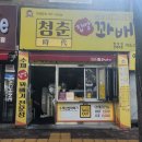 청춘시대꽈배기