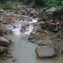 숲속의다향 이미지