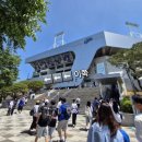 (주)호성 | [대구 삼성라이온즈 파크] 팀스토어, 어센틱샵 차이점 | 주말 웨이팅 및 유니폼 품절 정보