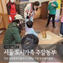 강화 달빛동화마을 농촌체험 가성비 갑 feat 서울 도시가족 주말농부