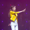 롤리폴리 이미지