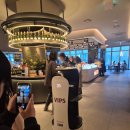 시즌 뷰 | 부산 롯데백화점 광복점 VIPS 딸기 시즌 방문 후기｜바다뷰 샐러드바 뷔페