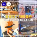 울산 장생포 고래박물관 후기 통합권 개별권 가격비교 입장료와 관람동선까지 총정리