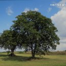 이레스테이 - 정읍시 용산호반길 26-4 | 이레스테이