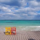 월정리 문스테이 게스트하우스 이미지