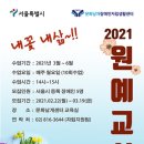 에이블816