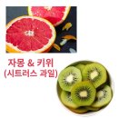 나이스휘트니스 이미지