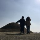 송미농장 | 날이면 날마다 오는 일기