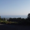 서호동-41 이미지