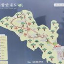 제주 평대리 비자나무 숲 이미지