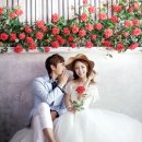 젠웨딩 네이버블로그