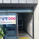 낭만 Dog | 여수 애견동반 카페 <낭만독> 야외 운동장 굿!