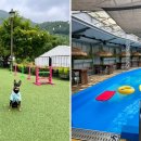 동반84 글램핑 이미지