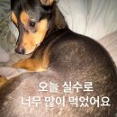 황가이미용실 | 2025 1月 스무살 체험기