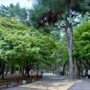 갈산면 노상마을회관 | 경주 여행 경주 가볼만한 곳 경주대릉원 - 밤에도 이쁘고 낮에도 이쁘고