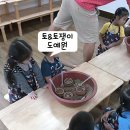 토&토쟁이
