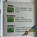 157 | [김해 삼계동 맛집] 정갈하고 푸짐한 한 상, 솥밥정식 솔직 후기 "옛살비 솥밥정식"