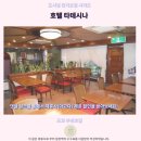 신주쿠 | 호텔 타테시나도쿄 가성비 숙소 신주쿠 후기