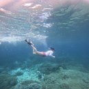 서안산정비 | 🇵🇭Philippines_Bohol 06.28-07.01