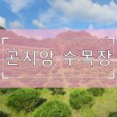세무법인나무종로지점 | 광주 곤지암 수목장의 방문 동선·주차·접근성 상세 안내