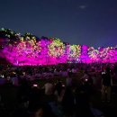 수인공원 | 2025 성남페스티벌 방문 후기 파크콘서트 성남 라인업 김범수 일정 총정리!(ft. 분당중앙공원)