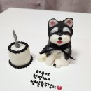 몽마르쉐 | 파주 강아지케이크 전문점 몽마르쉐 이용후기!