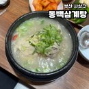 동백삼계탕 구포직영점 | 부산/구포동 구남역 근처 삼계탕 맛집 구남 동백삼계탕 구포직영점