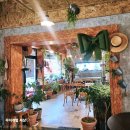 분천 | 경북 봉화 여행 분천역 분천 산타마을 방문 후기