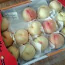 대송농장 이미지